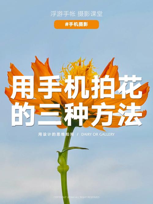 手机照人物角度技巧集锦图3