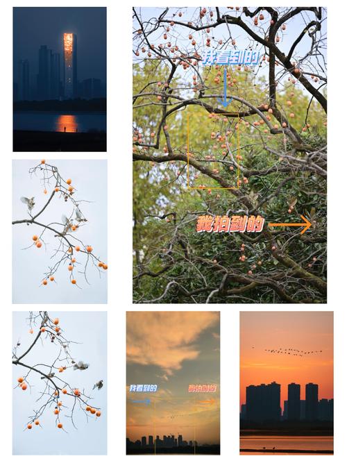 照片拍摄角度不同差别很大的说说图1