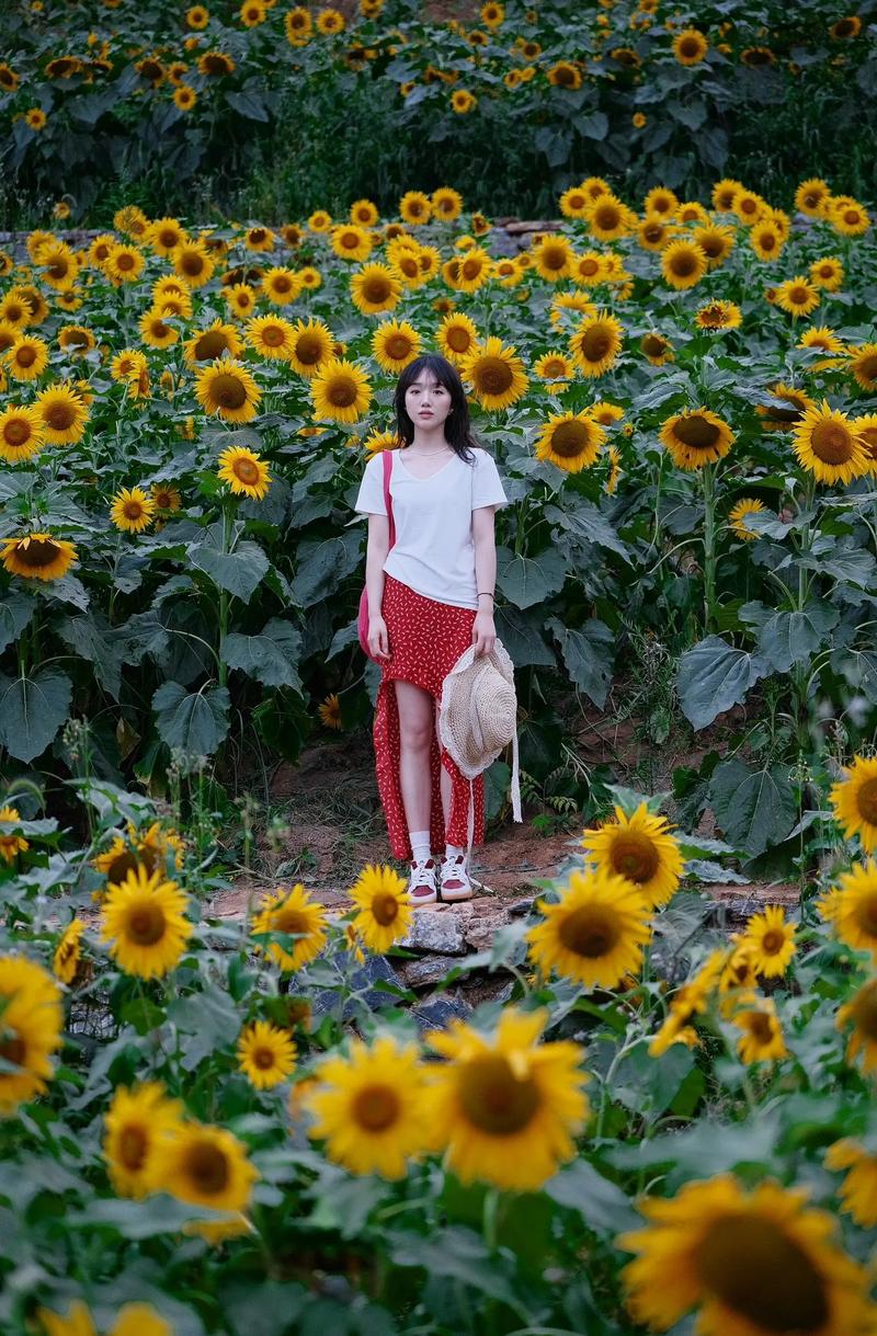 手机照相哪款美颜相机好看图1