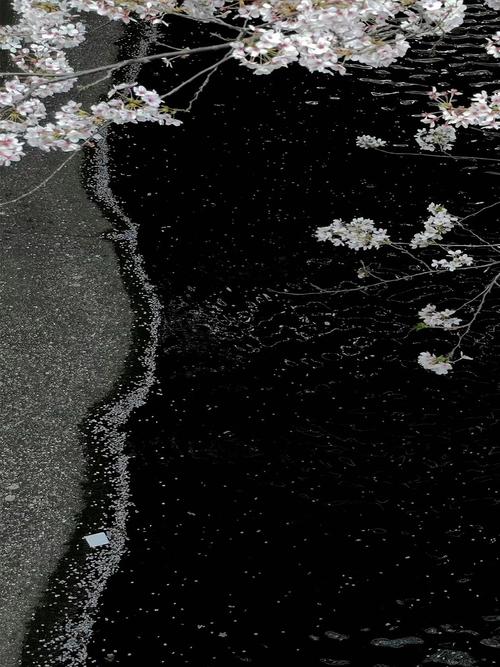 高级感背景图冷淡风(高级感背景图片素材)