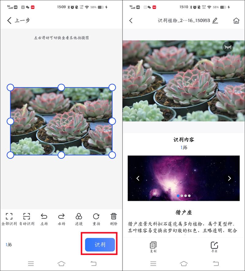 哪个软件拍花好看图3