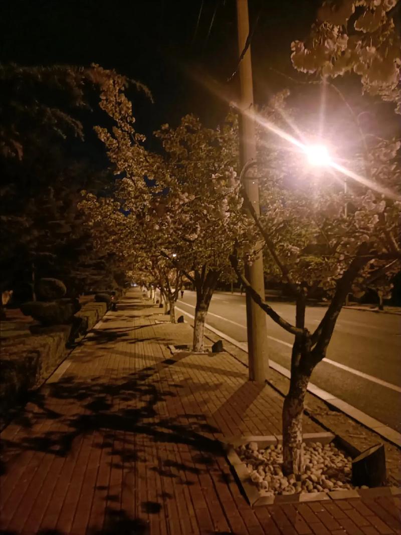 晚上没灯怎么手机拍照