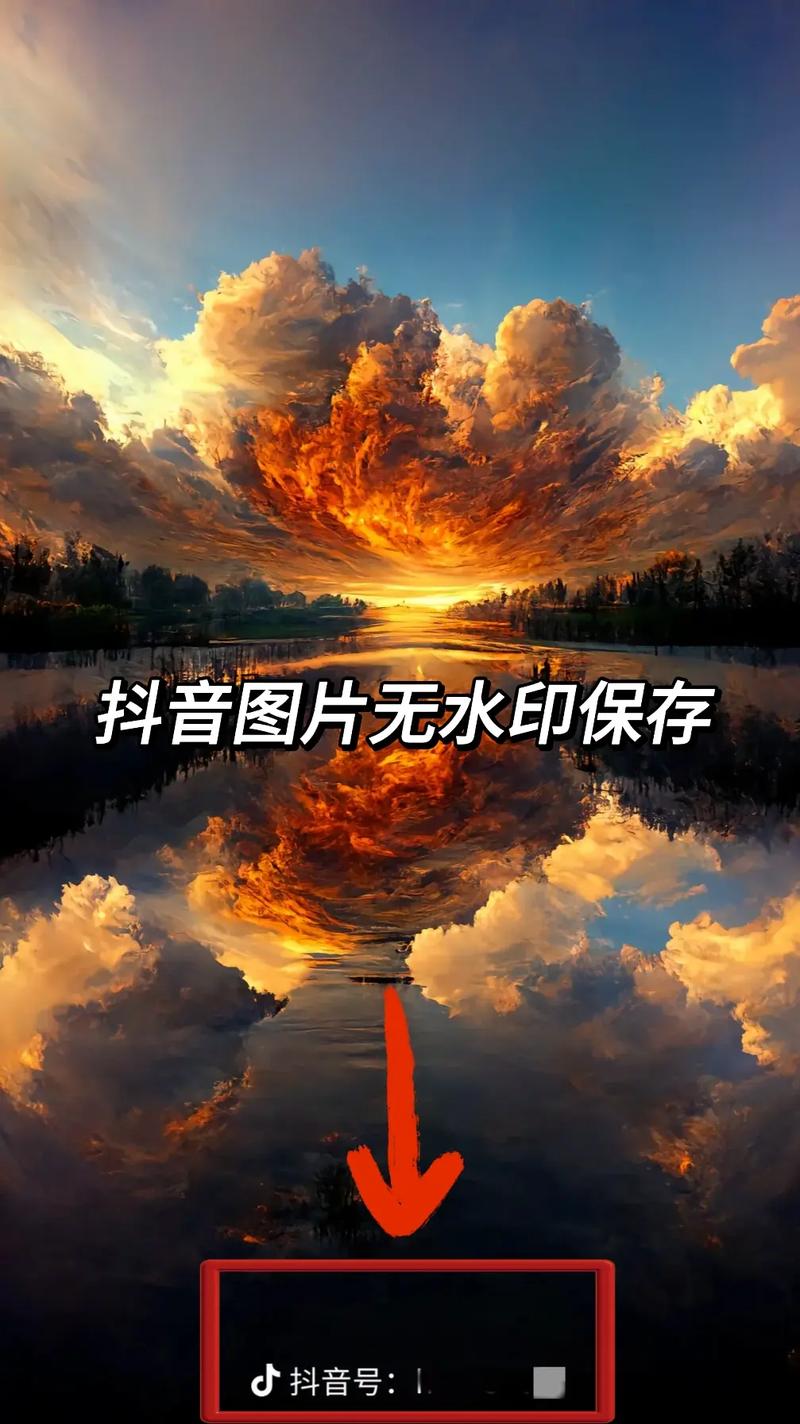 今日水印相机照片怎么保存到相册图2