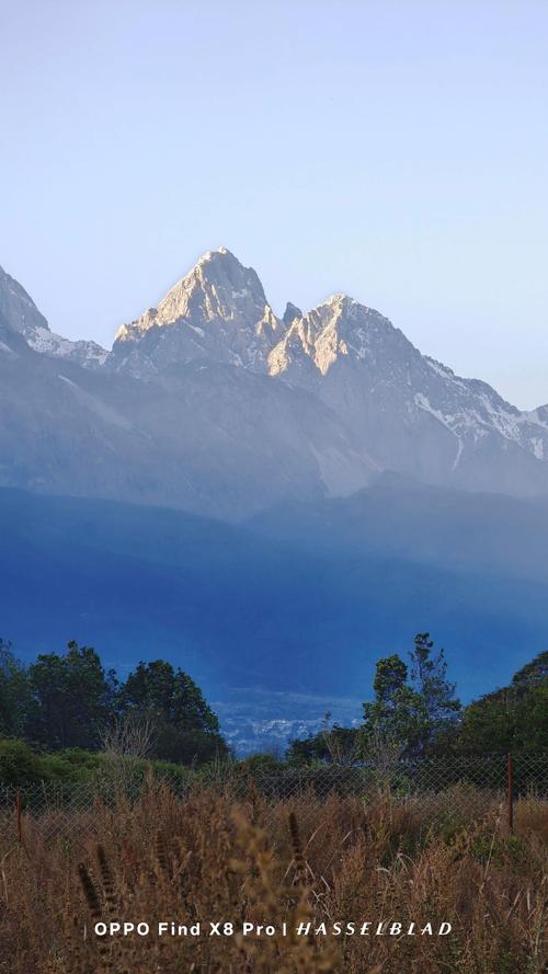 拍照比较好的手机排名