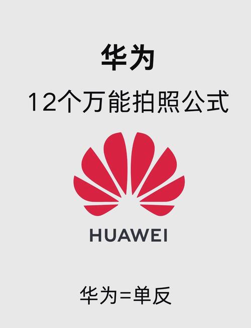 华为手机怎么拍照好看教程图3