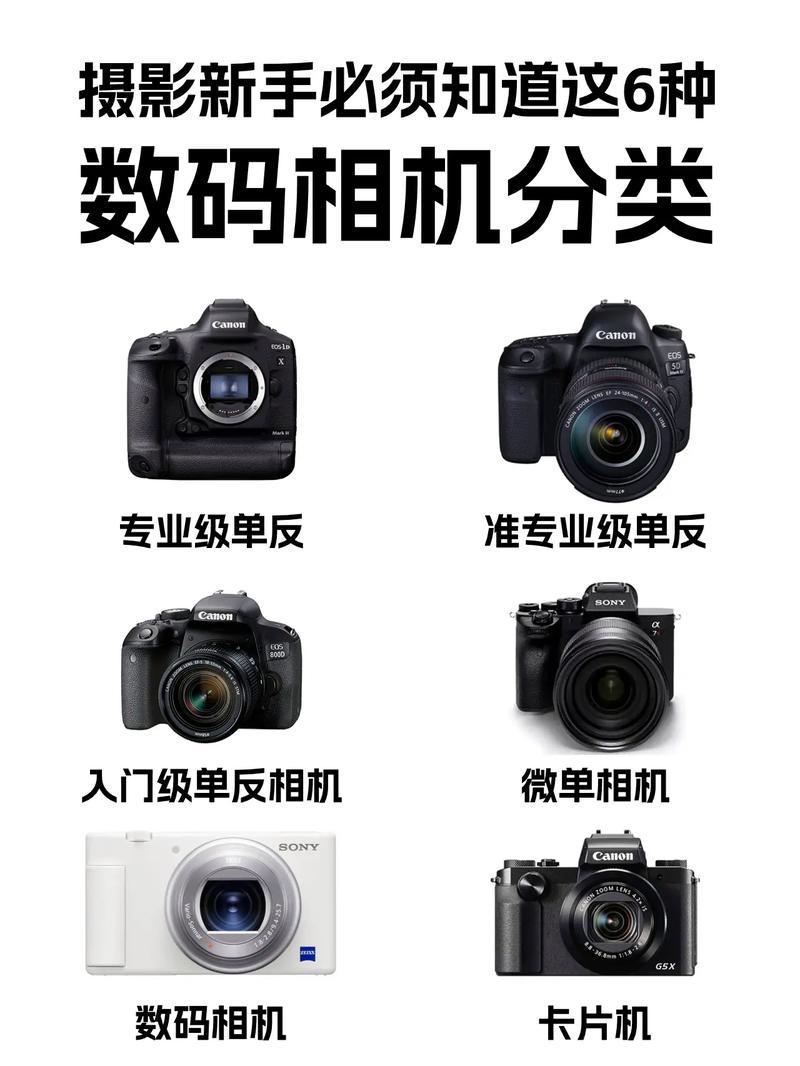 什么软件照相效果最好看图2