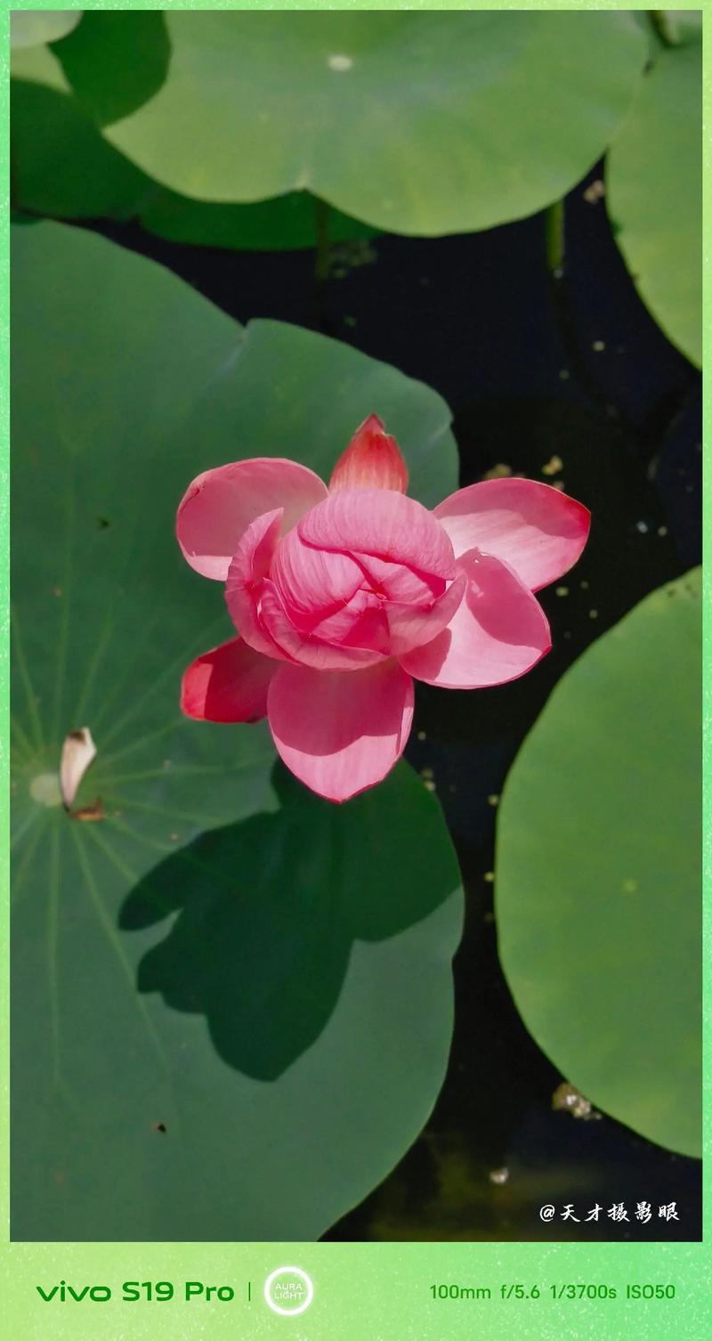 最自然好看的拍照软件图1