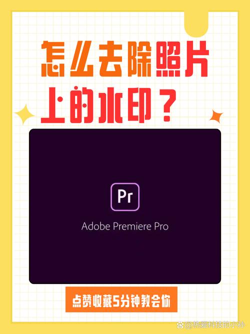 今日水印相机拍的照片在哪个文件夹找图3