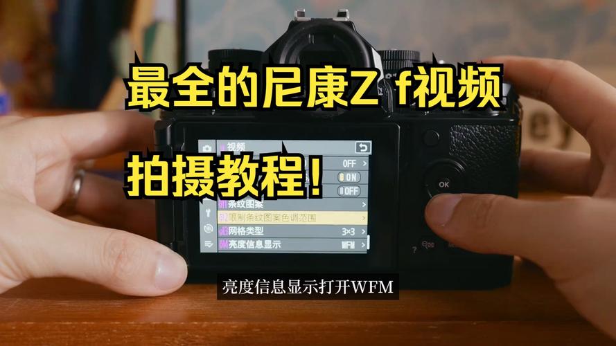 电脑照相机软件图3