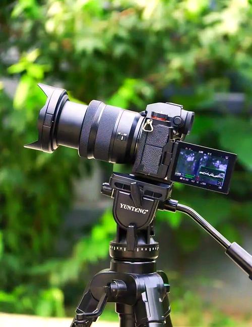 旅游拍照100个姿势视频图2