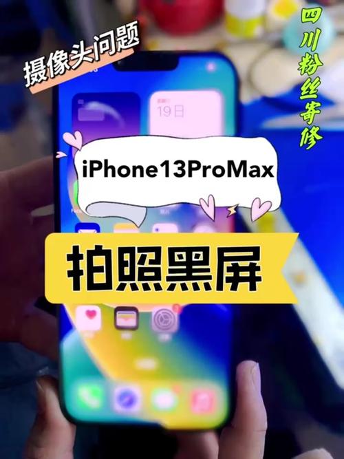 苹果手机照相机黑屏是怎么回事权限也开了图1