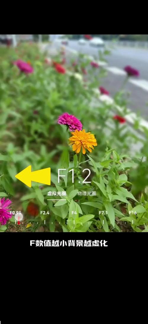 拍照使背景模糊怎么调参数图2