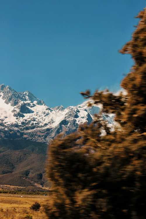 华为哪个手机拍照效果最好