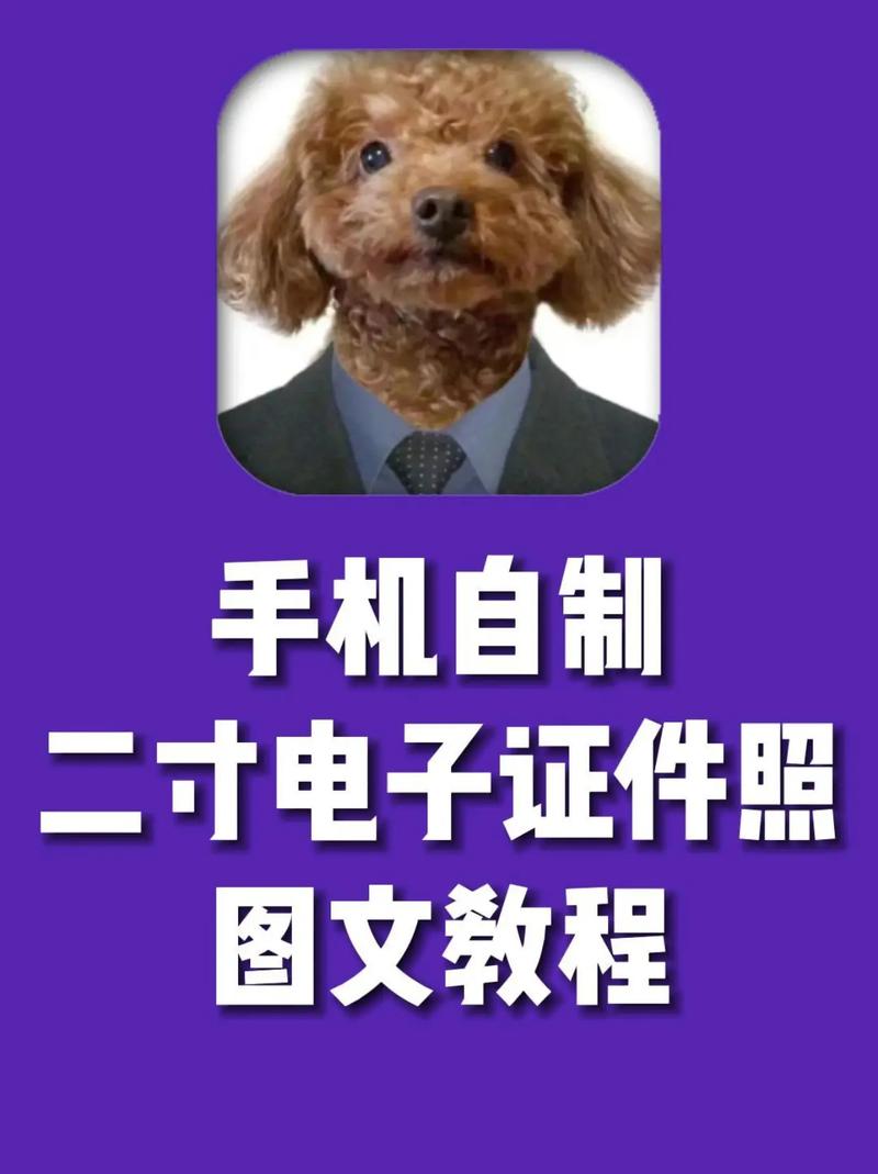 如何用单反相机翻拍老照片图1