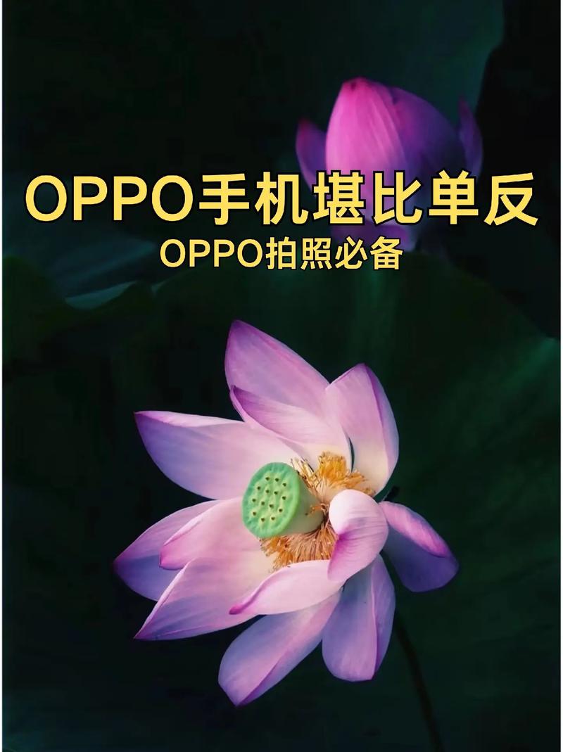 手机拍照软件哪个效果最好