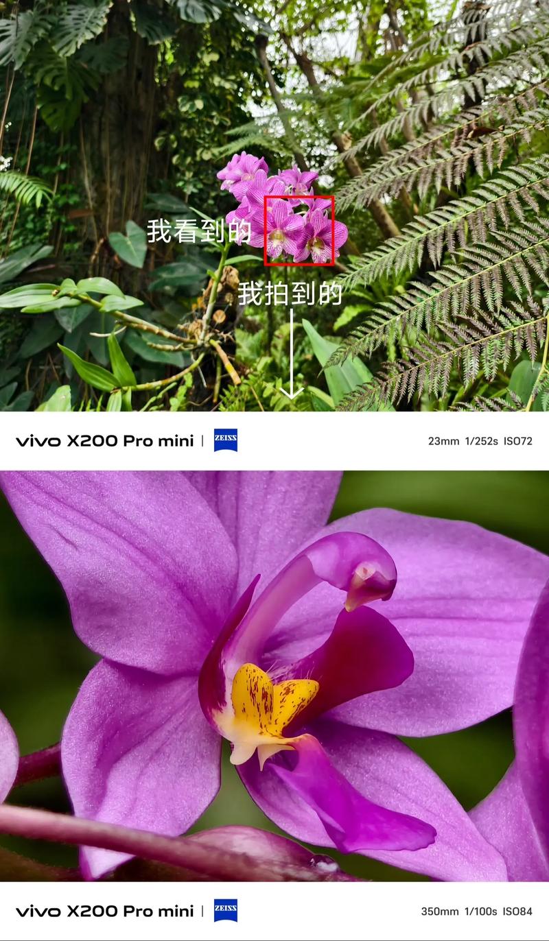 vivo手机相机怎么设置美颜图3