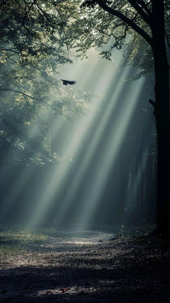 手机摄影拍照技巧风景怎么拍才好看图3