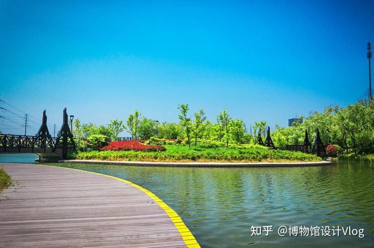 记录根系的情况拍照角度怎么填图2