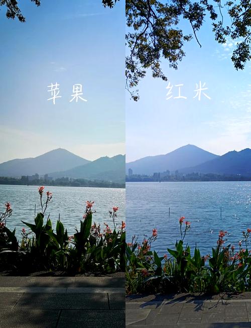 苹果手机拍照技巧汇总图3