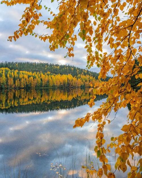 手机相机怎么拍风景好看图1