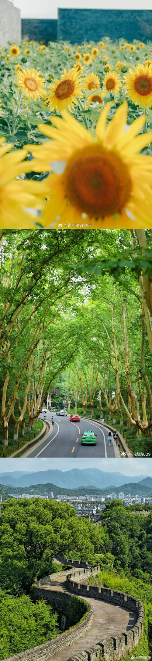 手机拍照清晰度取决于什么设备图1