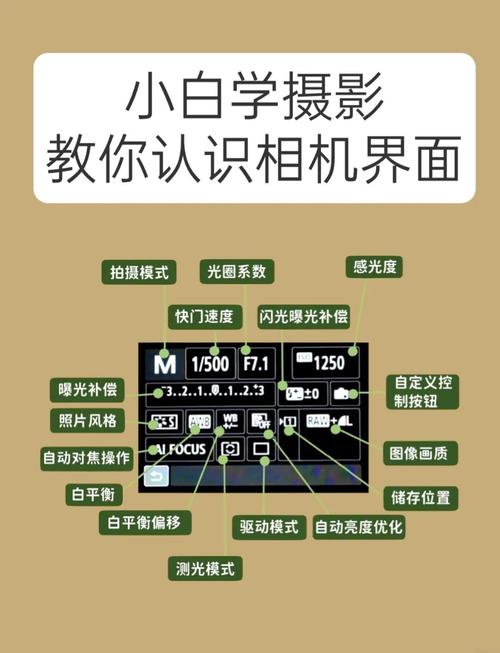 电脑照相怎么打开的软件图1