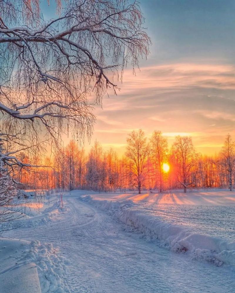 雪景怎么拍照片好看