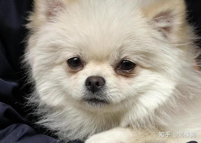 今日水印相机拍的照片找不到了怎么办图2