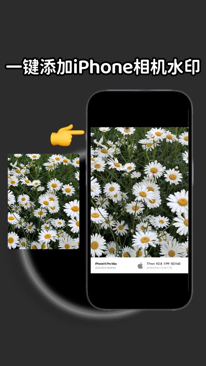 马克水印相机拍的照片不进入相册