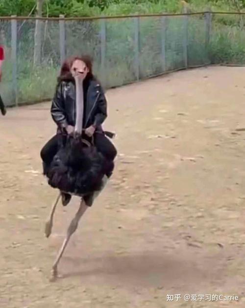 拍照死亡角度好看的标准图1