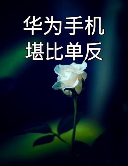 华为手机拍照技巧跳起来怎么拍图2