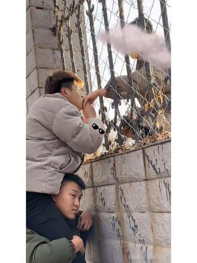 监狱会见的时候能带手机吗图1