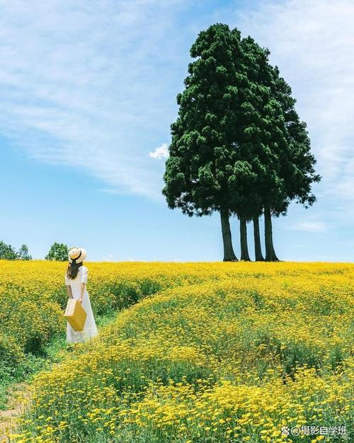 拍风景照片的技巧与姿势图1