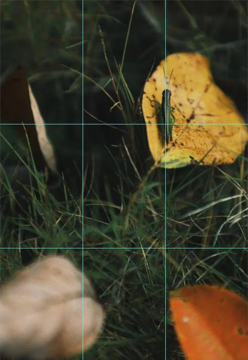 九宫格构图法是什么?