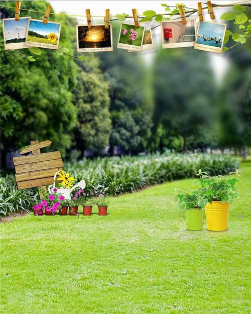 纯色背景写真照图1