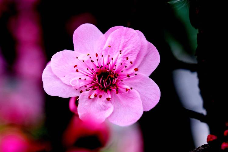 拍照软件哪个好用又自然图1