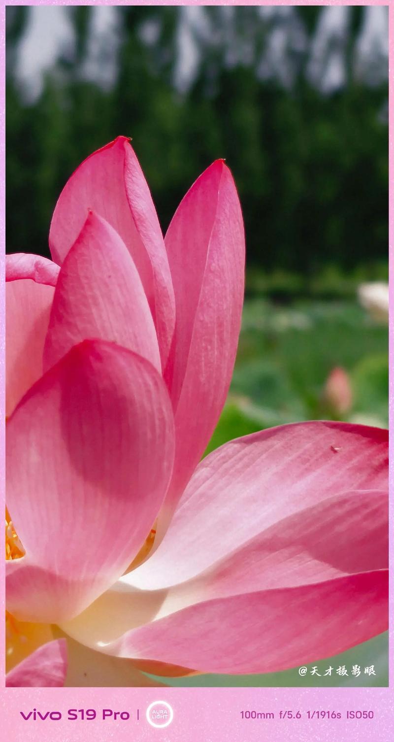 哪个相机拍照片最自然