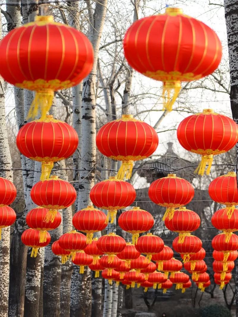 新年拍照背景墙红色图1