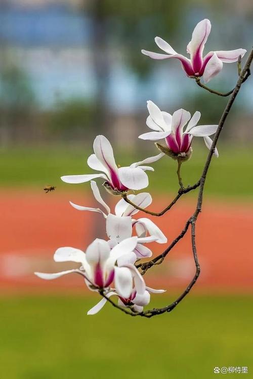 怎么拍照片好看有高级感