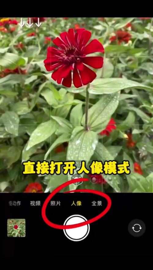 如何用手机拍出人物清晰背景虚化的照片