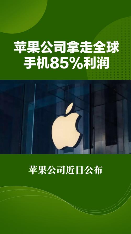 ...一部手机的利润约为多少?(卖一部手机利润有多大)