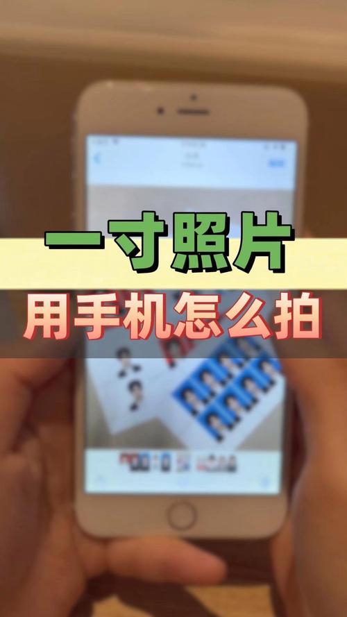 哪个软件可以拍一寸照片图1