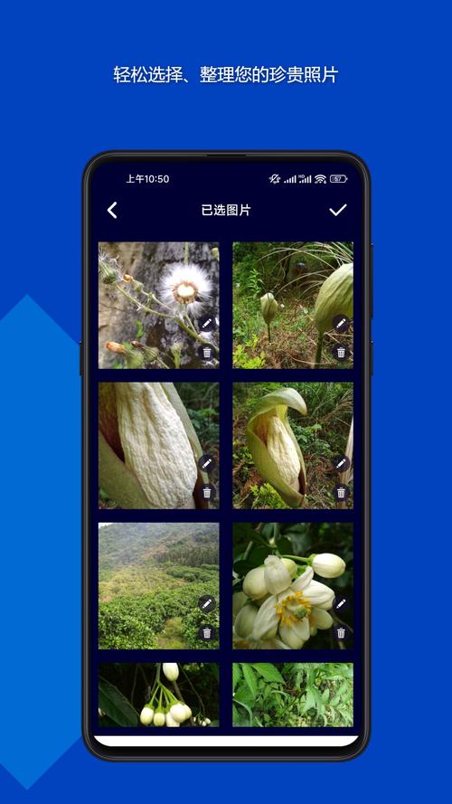 有什么软件能把照片做成音乐相册