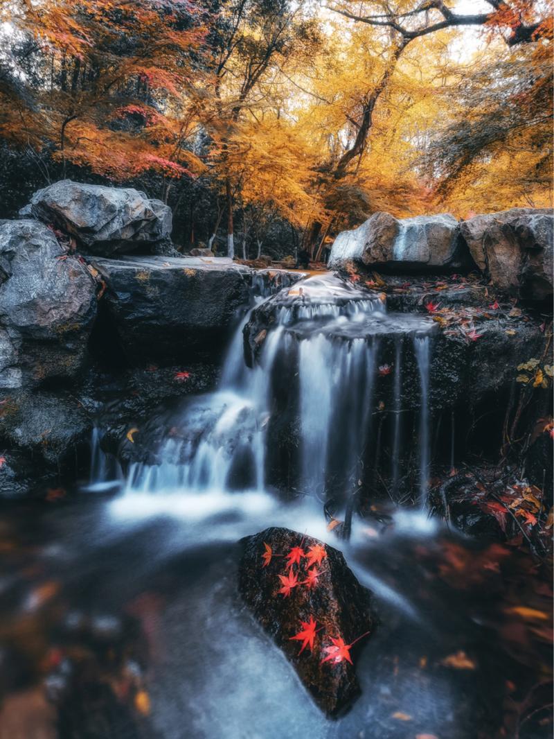 华为拍照最好的是哪款手机型号图1