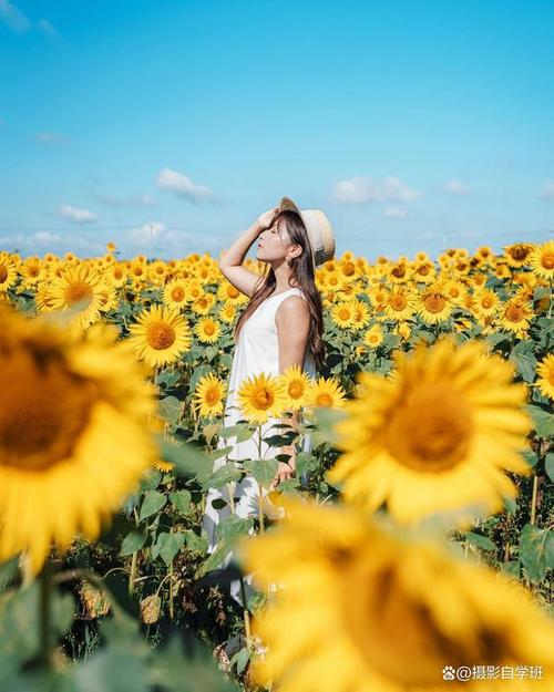 拍照姿势好怎么形容图1