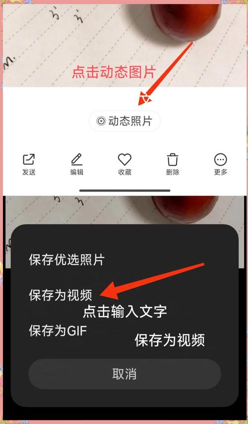 拍照神器怎么连接手机图3