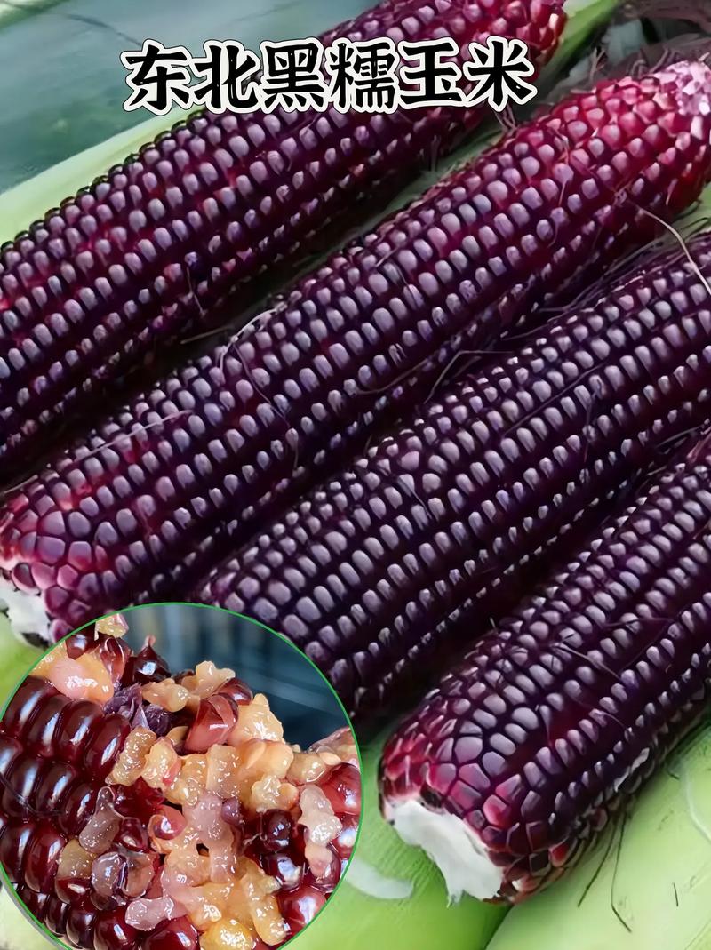 拍照数数软件免费的嘛图1