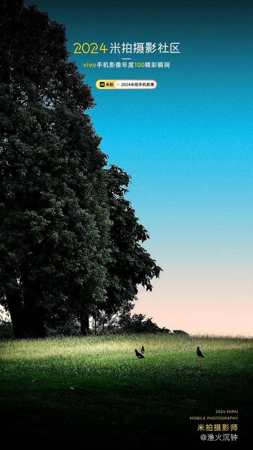 2024国产拍视频最好的五款手机