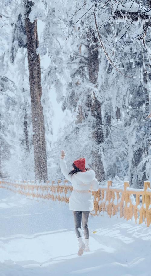 雪中拍照姿势图片图2