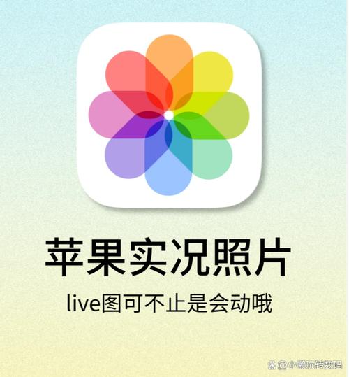 iphone照相机功能介绍图1